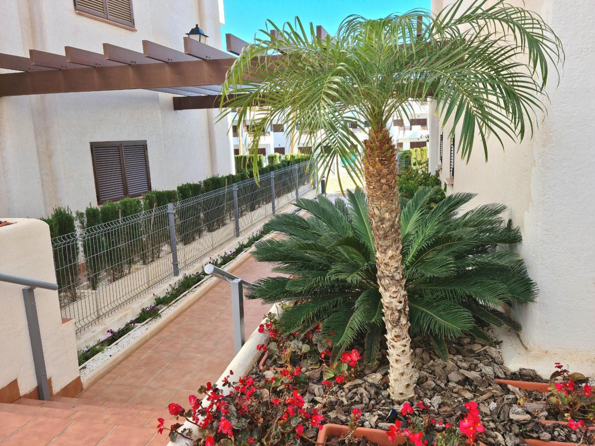El Sueno Daire San Juan de los Terreros Dış mekan fotoğraf