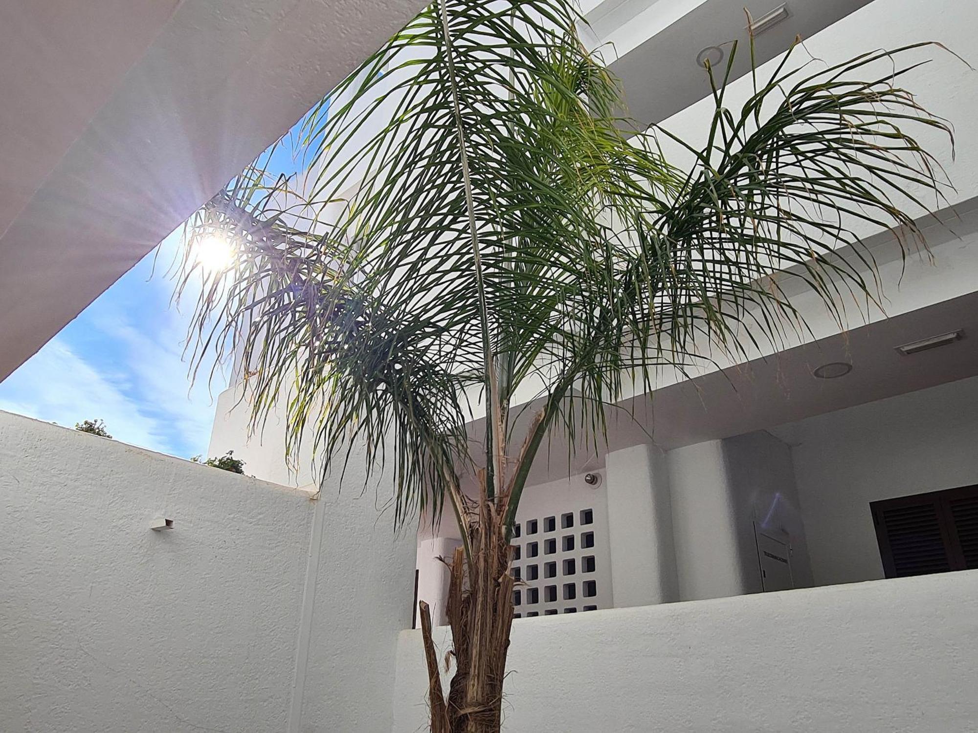 El Sueno Daire San Juan de los Terreros Dış mekan fotoğraf